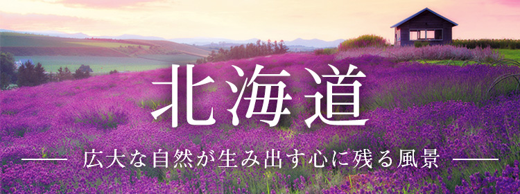 好評 ジグソーパズル 富良野を彩る花の丘 北海道 1000ピース 風景 YAM-10-1344 やのまん CP-JP パズル Puzzle ギフト  誕生日 プレゼント
