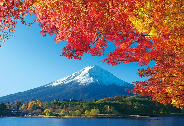 鮮やかに色づく秋の景色を組み立てよう 生活 美容 おすすめ情報日記