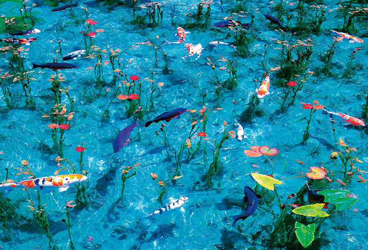 Bev M81 564 風景 モネの池 1000マイクロピース ビバリー の商品詳細ページです 日本最大級のジグソーパズル通販専門店 ジグソークラブ