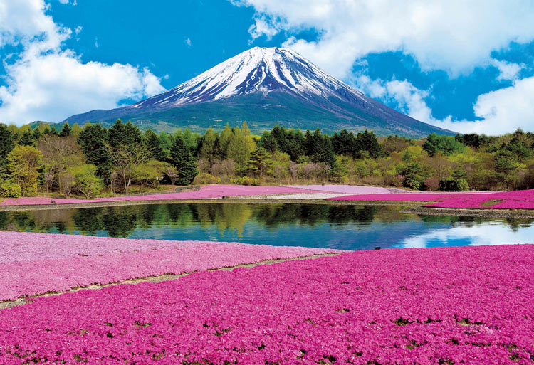 Epo 31 002 風景 芝桜と富士 山梨 1053スーパースモールピース エポック社 の商品詳細ページです 日本最大級のジグソーパズル通販専門店 ジグソークラブ
