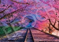 EPO-05-123s　風景　桜の蹴上インクライン - 京都　500ピース　ジグソーパズル