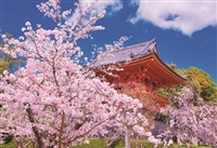 EPO-25-156　風景　桜の仁和寺-京都　300ピース　ジグソーパズル　［CP-NI］