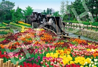 EPO-31-039　風景　五連水車と花咲く公園-富山　1053ピース　ジグソーパズル　［CP-NI］