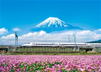 れんげの花と富士山 （静岡）（風景）　500ピース　ジグソーパズル　YAM-05-1016　［CP-NI］［CP-FJ］