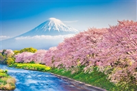 春爛漫の桜並木と富士山（静岡）（風景）　1000ピース　ジグソーパズル　YAM-10-1387　［CP-NI］［CP-FJ］
