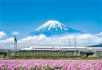 れんげの花と富士山(静岡)（風景）　500ピース　ジグソーパズル　YAM-35-26　［CP-NI］［CP-FJ］