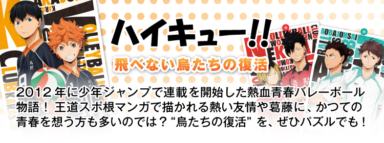 TV・アニメ・ゲーム ハイキューのジグソーパズル｜商品ページ｜日本 