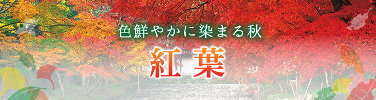 風景 紅葉のジグソーパズル｜商品ページ｜日本最大級のジグソーパズル 
