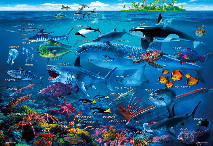 2023豊富な】 （まとめ）海のいきものパズル：ユニクラス オンラインショップ