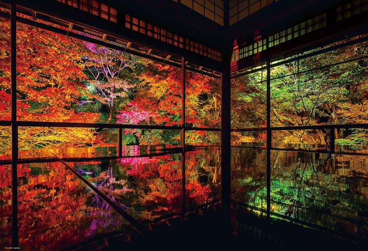 秋深まる瑠璃光院 （風景）　1000ピース　ジグソーパズル　BEV-1000-041　［CP-JP］［CP-KY］