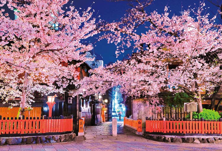 BEV-1000-050 風景 祇園の夜桜 1000ピース ［CP-SK］ ビバリー の商品