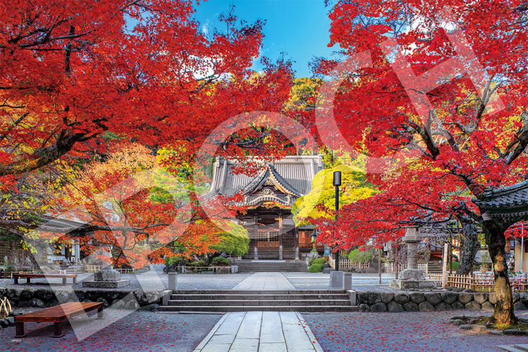 EPO-09-024s 風景 修禅寺の美しい秋 -静岡 1000ピース エポック社 の 