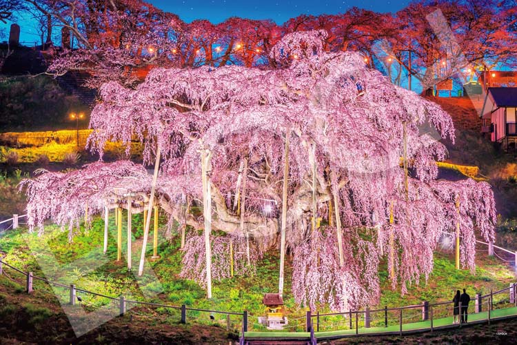 EPO-09-058s 風景 三春の滝桜-福島 1000ピース エポック社 の商品詳細 