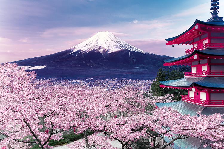 富士山と桜と五重塔 - 美術品