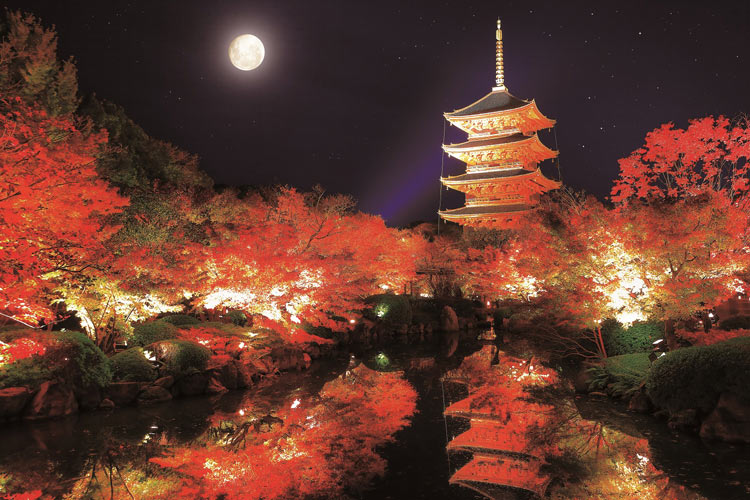 EPO-10-802 日本の風景 秋の東寺 五重塔－京都 1000ピース ［CP-HE