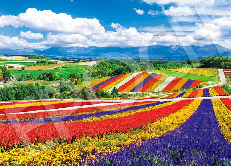 EPO-54-240 風景 虹色の四季彩の丘-北海道 2000ピース エポック社 の 