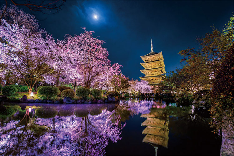 YAM-10-1299 KAGAYA 月夜に咲く（京都） 1000ピース やのまん の商品 