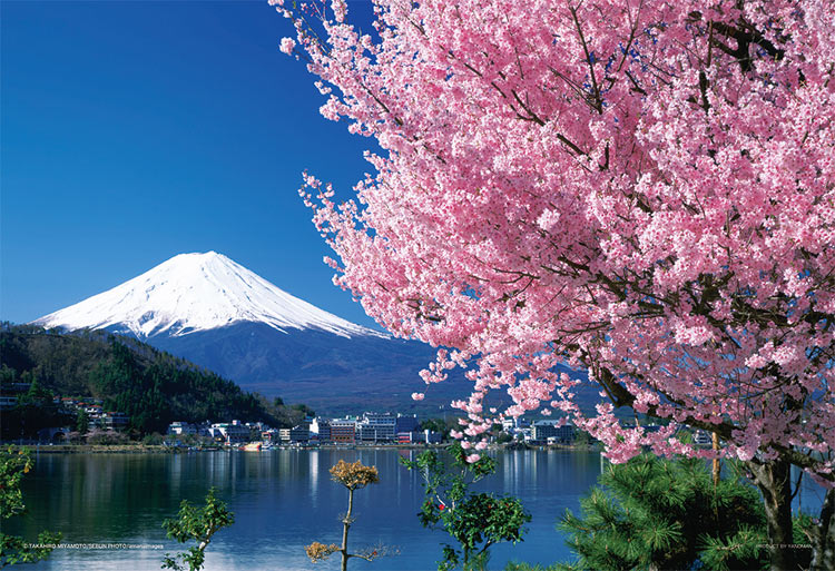 YAM-01-2068 日本の風景 桜と富士（山梨） 108ラージピース やのまん 