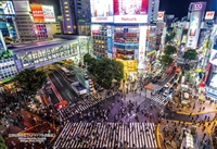 東京都渋谷区「スクランブル交差点」 （国内風景）　300ピース　ジグソーパズル　CUT-300-417