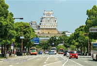 兵庫県姫路市「大手前通りから見る姫路城」 （国内風景）　300ピース　ジグソーパズル　CUT-300-423