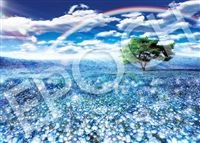 ネモフィラと幸運の虹 （風景）　500ピース　ジグソーパズル　EPO-05-201s