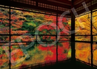 瑠璃光院の紅葉 -京都（風景）　500ピース　ジグソーパズル　EPO-05-203s
