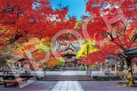 修禅寺の美しい秋 -静岡 （風景）　1000ピース　ジグソーパズル　EPO-09-024s　［CP-JP］［CP-KY］