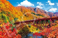 EPO-09-053s 風景 秋晴れの黒部峡谷とトロッコ電車ー富山 1000ピース 