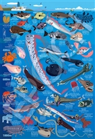 深海生物図鑑 水深200ｍ〜1000ｍ （子供用パズル）　100ピース　ジグソーパズル　EPO-26-807
