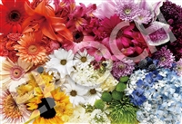 Brittany Wright　Flower Rainbow （フラワーレインボー）（ブリタニー・ライト）　1053スーパースモールピース　ジグソーパズル　EPO-31-520　［CP-SM］